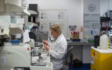 Research Into Cancer Conducted At The Cancer Research UK Cambridge Institute