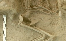 Human skeleton from an archaeological excavation in northern Greece