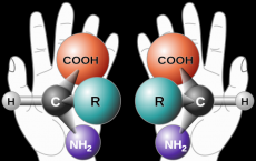 Chirality 