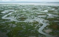 Rising Seas And Warming Temperatures Force Alaskan Coastal Community To Move Inland  