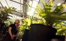 Kew Millennium Seed Bank Project Holds 10% Of World's Wild Plant Species