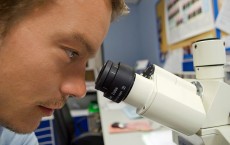 Scientist In Laboratory 