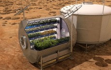 Mars Food Production