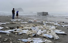 More Oil Spills From Stricken Cargo Ship