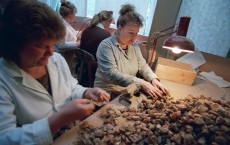 The Lucrative Business of Amber in Russia