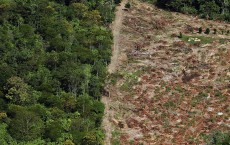 Brazil's Controversial Belo Monte Dam Project To Displace Thousands in Amazon