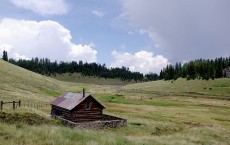 The White Mountains of Arizona