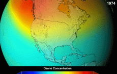 Future Ozone Layer Concentrations