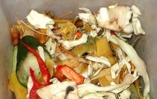 Food Waste