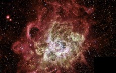 Nebula NGC 604