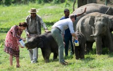 The Duke & Duchess Of Cambridge Visit India & Bhutan - Day 4