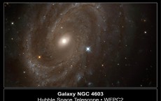 Hubble Finds Variable Stars In Distant Spiral Galaxy A NASA Hubble Space Telescope