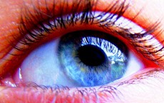 How many megapixels is the human eye?