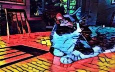 Prisma App