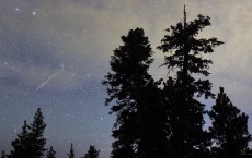 The Annual Perseid MeteThe Annual Perseid Meteor Showeror Shower