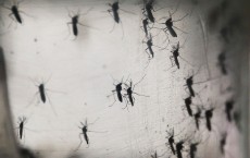 Brazil faces a new hurdle in their battle against Zika epidemic