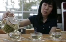 Green Tea Extracts