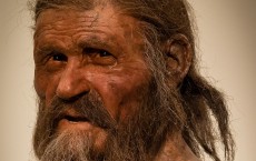 Otzi the Iceman Portrait