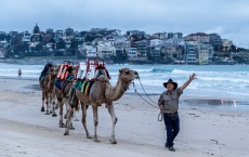 Winter Magic Festival Begins At Bondi Beach