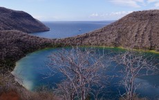 Galapagos Islands