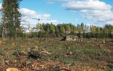 Deforested Construction Outskirts