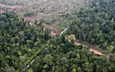 South Sumatra Governor Takes Aerial Tour Deforested Regions