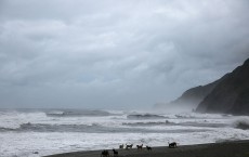 Super Typhoon Nepartak Hits Taiwan