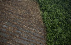 South Sumatra Governor Takes Aerial Tour Deforested Regions