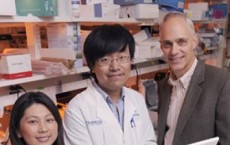 Drs. Yihong Wan, Wei Wei and David Mangelsdorf, UT Southwestern Medical Center