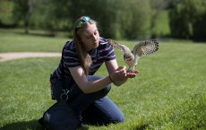 Conservation Work Is Carried Out At The International Centre For Birds Of Prey