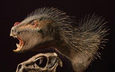 New Fanged Tiny African Dinosaur Discovered