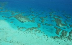 Great Barrier Reef Threatened With Extinction 'Within 20 Years'