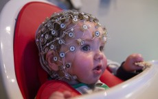 Research At The Birkbeck Babylab Into Brain And Cognitive Development