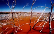 Restoration Plans Being Made to Save Salton Sea 