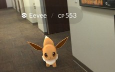 Pokemon GO: Eevee