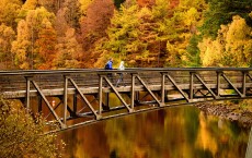 Autumn In The UK