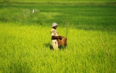 Carbon Buried in Soil by Erosion Will Be Re-Released into Atmosphere: Study