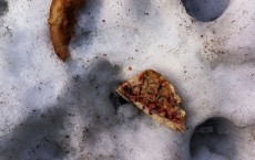 Dropped food like this pizza is not safe to eat even it lasted less than five seconds on the floor.