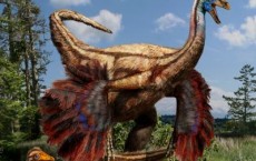 A Dinosaur with Feathers and Wings