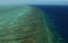 Great Barrier Reef Extinction