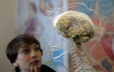 How human brain reacts is no longer a mystery.