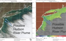 Scientists Track Post Sandy Sewage