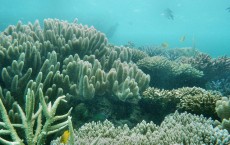 Great Barrier Reef