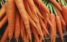 Carrots