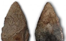 Stone Tools