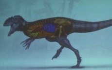 Study Shed Light on the How Brain and Inner Ear Developed in Dinosaurs