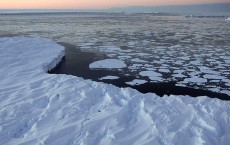 Arctic Sea Ice