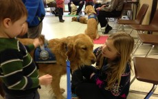 Dogs Comfort the Grieving Families at Sandy Hook