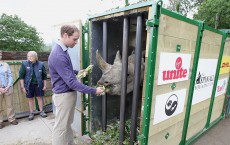 Rhino Translocation Project