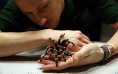 Annual Animal Stocktake At London Zoo 